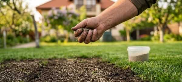 Mână care împrăștie semințe de gazon pe o porțiune de pământ gol pentru a acoperi zonele deteriorate.
